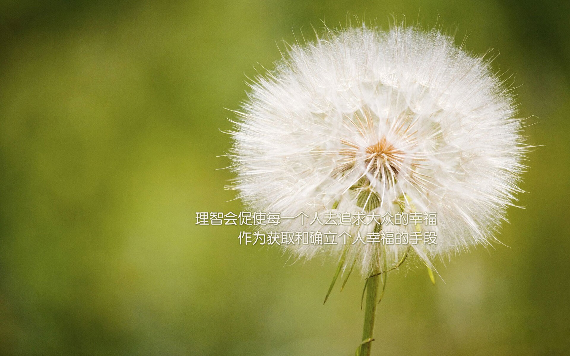 史上最震撼的球队逆转：不可复制的奇迹瞬间，经典逆转比赛