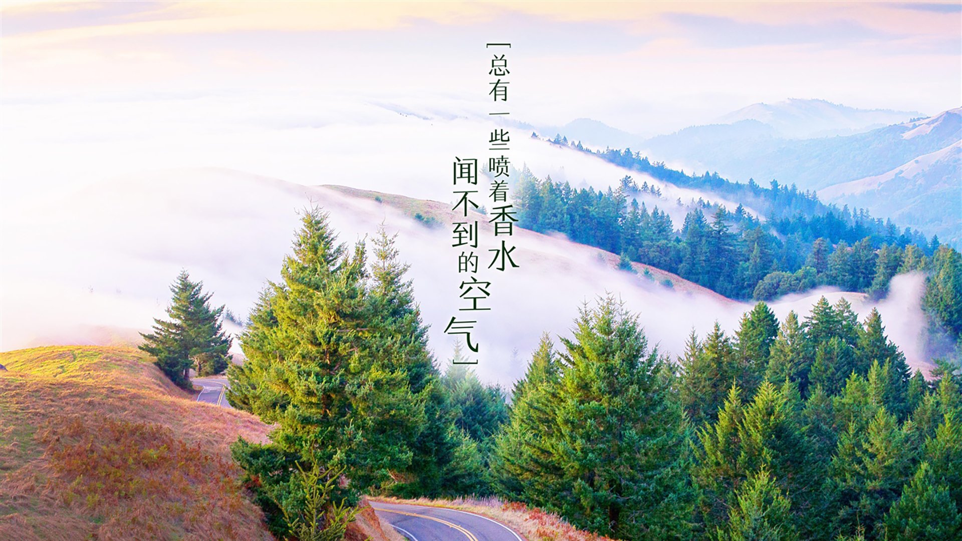 数字经济助推特色篮球产业链升级，打造国家体育新名片，数字经济与体育产业