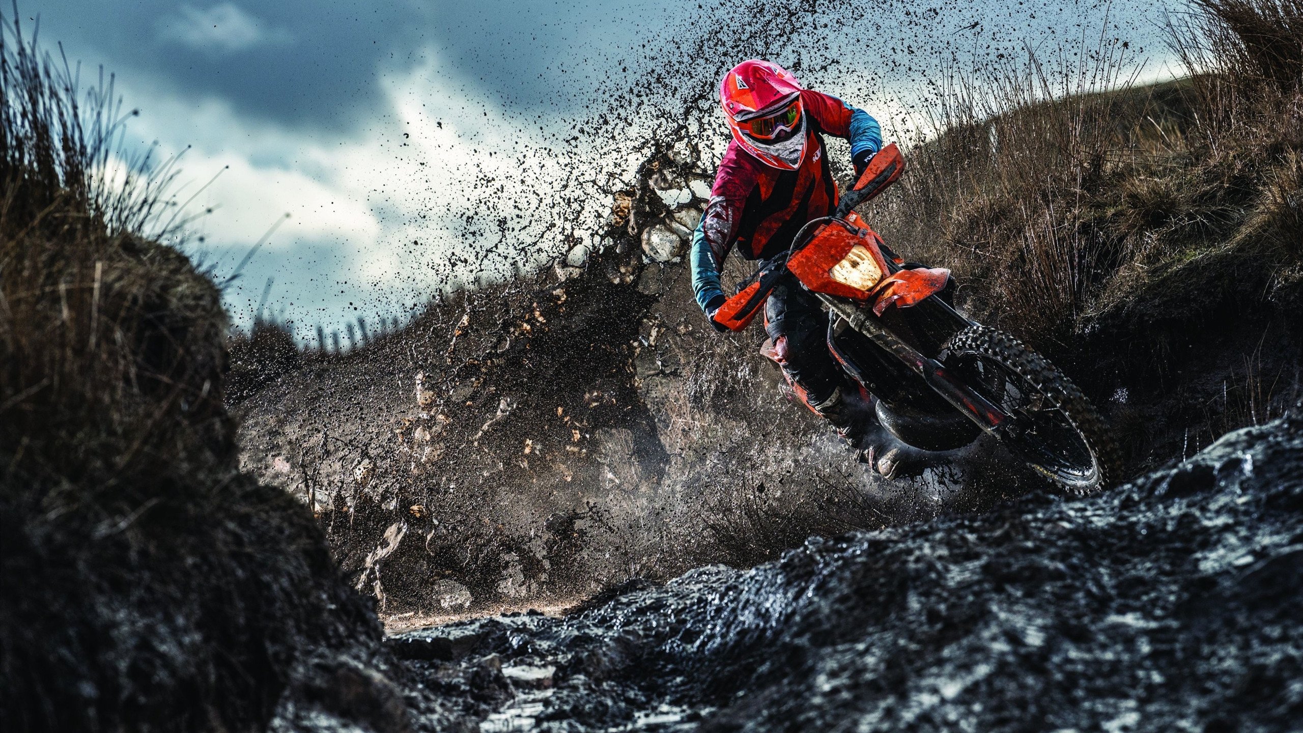 欧洲战况不断升级，谁才是真正的“王者”？